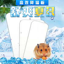 Lose-loss hamster heat sink large medium and small hamster ice pad heat sink cold bedroom cooling board cooling board