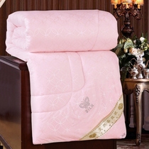 Pure cotton 2 Four Seasons twins spring and autumn quilt double layer winter letter quilt core two in one quilt vacuum