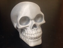 Skeleton 3D printing special drawings STL format