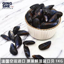 French air import fresh blue mussel blue mussel 1000g (arrival every Thursday)