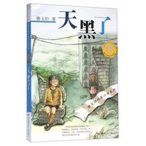 (Xinhua Bookstore Flagship Store Official Network) Genuine It's getting dark Cao Wenxuan Pure Beauty Novel Series Jiangsu Children's Publishing House Children's Literature Growth Campus Novel 97875346