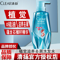 Qingyang Dandruff Shampoo Lotion Gomegranate Pomegranate Guava No Silicone Oil Stop Itch Control Oil Wash Head Cream Official