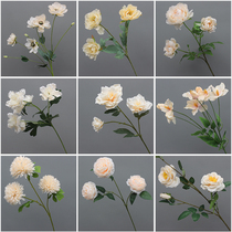 Champagne Ensemble Emulation floral material Wedding Rose embroidered ball peony floating in Xuyu Beauty Wens heart Yuali Road leading flower arrangement