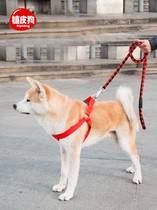 Chain subtraction rope Labrador Doggie Dog Jinmao Medium-sized Large Dog Walking Dog Chai Dog Neckline Pet Supplies
