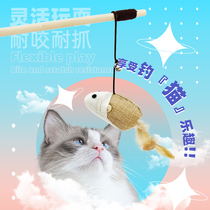 Cat Toy Teasing Cat Sticks Suit Young Cat Self-Hi Relieving Smother Bell Feather Resistant to bite Tooth Kittens