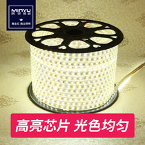 220V living room ceiling led patch light with 5050 lines 5730 waterproof 3014 bright soft light strip three colors