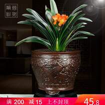 Special pot explosion for special purple orchid orchid in the ancient ruffin of the purple sand