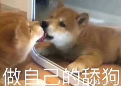 还不错啦啦啦啦啦啦啦啦啦啦啦啦啦啦啦啦啦啦啦啦啦啦啦啦海星海星海星海星海星海星海星海星海星海星海星海星海星海星海星海星海星海星海星海星海星海星海星海星海星海星海星海星海星海星海星海星海星海星海星海星海星海星海星海星海星海星海星海星海星海星海星 还不错啦啦啦啦啦啦啦啦啦啦啦啦啦啦啦啦啦啦啦啦啦啦啦啦海星海星海星海星海星海星海星海星海星海星海星海星海星海星海星海星海星海星海星海星海星海星海星海星海星海星海星海星海星海星海星海星海星海星海星海星海星海星海星海星海星海星海星海星海星海星海星