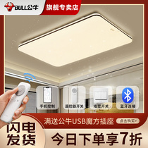 Bull Flag Ship Store Living Room Light Led Suction Dome Light Modern Brief Atmospheric Lamps 2022 New headlights Canxuan