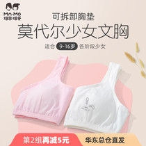 Love Modal Girl Bra Girl Students Puberty Development Thin Chest Vest Underwear