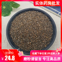 Edible perilla 500g Chinese herbal medicine wild perilla seed can be squeezed Su seed oil bulk New