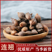 Chinese herbal medicine () forsythia with shell Qingqiao and 50 gr Chinese herbal medicine big