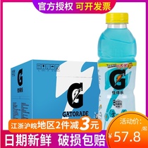 Pepsi Gatorade Blueberry Flavor Sports Drink 600ml * 15 bottles full box multi-province supplement water electrolyte