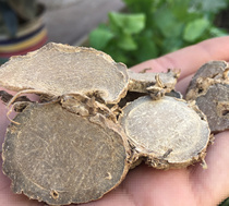 Zedoary New stock Academic Fluectomy and Qiang Seven Black Hearts Ginger 500g Chinese herbal medicine Another sale of vinegar-Zedoary Equestrian