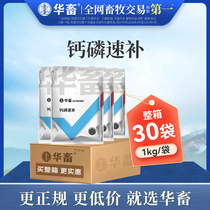 (30 bags in a box) Hua livestock calcium phosphorus quick supplement calcium hydrogen phosphate pig cattle sheep poultry and chicken with trace element additives