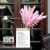 ins Kraft paper bag dried flower bouquet pink Reed dried flower pun Reed flower reed decoration Reed flower grass