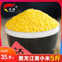 Northeast yellow millet 5kg millet porridge