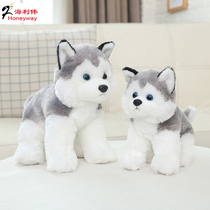 Hai Liwei two ha plush toy husky doll dog plush toy doll simulation birthday gift female