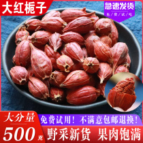 Red gardenia 500g Chinese herbal medicine gardenia fruit yellow branches make tea without wild mountain gardenia coloring edible soak water