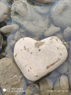 不错,好看,只不过以为和内裤一套呢,结果只是单独内衣,有点不开心,一套更好,也找不到裤子链接,客服也不知道,。。。。。。。。。。。。。。。。。。。。。。。 不错,好看,只不过以为和内裤一套呢,结果只是单独内衣,有点不开心,一套更好,也找不到裤子链接,客服也不知道,。。。。。。。。。。。。。。。。。。。。。。。