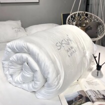 High-end autumn and winter core 5 star hotels double autumn and winter quilt hydrouric acid breeding facial thickened to warm spring and autumn