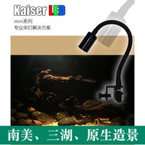 Kaiser Caesar native South American shaped rat fish tank Three lakes water grass turtle tank LED spot light clip light Ornamental fish