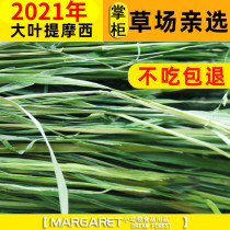 21 years of cattle pet boutique special special drying Timothy grass gross weight 1kg North grass rabbit forage Rabbit Hay