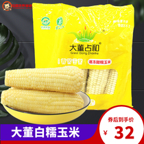 Great Dong Zang and white glutinous sweet corn Northeastern quick-frozen fragrant sweet and soft glutinous corn stick Q bomb fresh and sticky corn