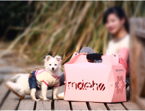 Pet bag cat bag dog bag out bag dog backpack Teddy carrying case cat nest foldable cat case