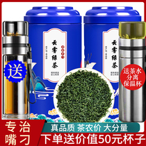 Green tea 2021 new tea cloud fog tea leaf tea Maojian tea Rizhao Alpine Biluochun strong fragrance bulk canned 500g