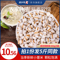 Fresh Guizhou small barley rice coix seed 500g * 5 bags fresh shelling coarse grains for sale