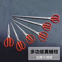 Stainless steel eel clip Eel pliers catch crab clip Non-slip pliers catch Poseidon catch crab special tools
