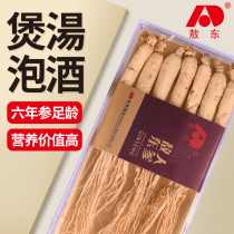 Aodong ginseng Northeast Changbai Mountain big bubble wine dry white ginseng mountain ginseng slices Wild mountain ginseng whole branches bubble wine raw dried ginseng slices