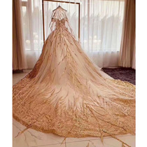 The new luxury light champagne spray gold sequin head yarn shake sound with the same light shiny veil bridal wedding dress with veil