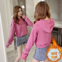 High waist short sweatshirt woman plus velvet thickened long sleeve autumn winter new 2020 Korean version embroidered loose with lazy wind blouse