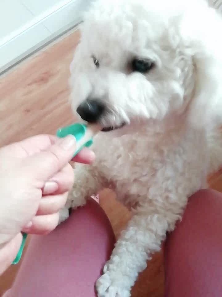 凯锐思狗零食怎么样评价好不好呢?真相评测分析曝光