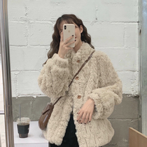 Small autumn and Winter Korean version lamb coat womens short new thick imitation rabbit furry fur plush top