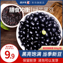 Seven carp black beans 500g northeast coarse grain grains green core black bean soybean milk raw material farmer green black bean