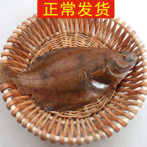 (Regular hair) 3 Jin 128 yuan plaice whole flounder fresh frozen partial fish opium fish opium fish fish more treasure fish seafood