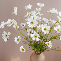 ladylike Daisy cosmos simulation flower silk flower bedroom decoration flower living room coffee table fake flower ornaments vase