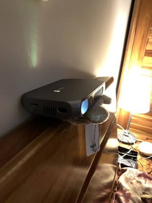 达人谈感受晒图解讲Treee触灵T1智能触控投影仪怎么样，是否值得入手？