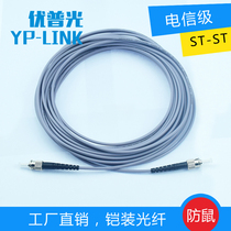 Promotional anti-rat armored fiber pigtail 62 5 multimode ST-ST 3 meters 5 meters 10 meters 20 meters 50 meters optical fiber jumper