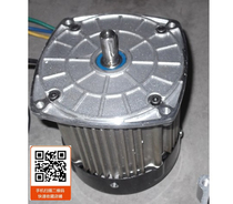 Unite permanent magnet DC brushless motor BM1412HQF series (motor without reducer)