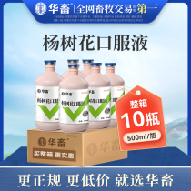 (10 bottles in the whole box) Chinese animal poplar tree flower oral liquid veterinary medicine cattle and sheep chicken piglets diarrhea dysentery