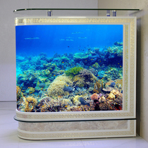 Bullet fish tank Living room household medium aquarium Glass ecological floor-to-ceiling screen fish tank