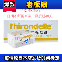 French Lesfoo Swallows Yeast 500g Dispensers Recommend Fresh High Activity Suitable Frozen Dough