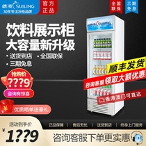 Ear-Ling Vertical Freezer Drinks Display Cabinet Commercial Fridge Single Door Freezer Fresh refrigerated cabinet air-cooled LG4-317L