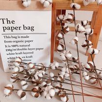 Cotton single branch decoration dried flower cotton shooting props home exhibition hall display cotton window design