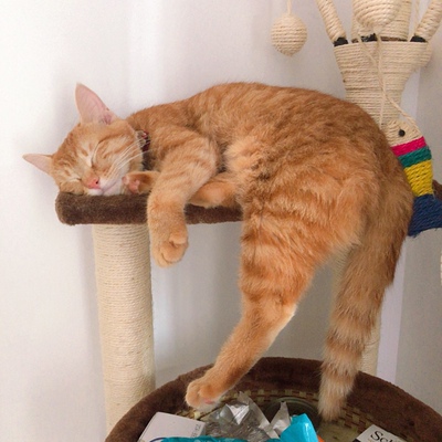 双十一买内衣真的很划算，就是很多专柜款都没有！