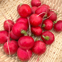 5kg cherry radish fresh water radish green vegetables round red radish farm vegetables fresh fruit mini radish